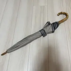 2025年最新】アシーナニューヨーク 日傘の人気アイテム - メルカリ