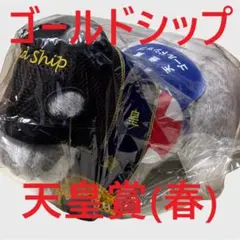 ゴールドシップ アイドルホース 競馬 ぬいぐるみ AVANTI ウマ娘 新品J