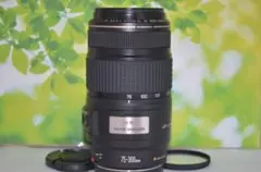 2026年最新】EF 75-300mm F4-5.6 isの人気アイテム - メルカリ