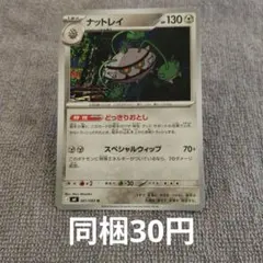 【在庫3】ナットレイまとめ買い