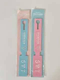 SEVENTEEN ジュン 直筆 サイン トレカ SVT ドーム 日本 - メルカリ