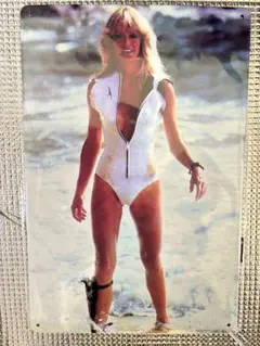 新品未開封　ファラフォーセット　オマージュブリキ看板②