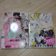 悪魔な兄が過保護で困ってます1 君主様に胸やけ1