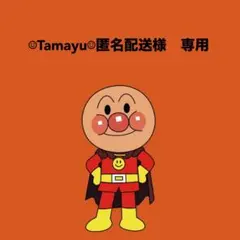 ☺︎Tamayu☺︎匿名配送様専用