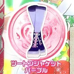 同梱40円 アイプリバース ツートンジャケットパープル シューズ