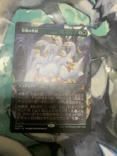 2025年最新】倍増の季節 Foilの人気アイテム - メルカリ