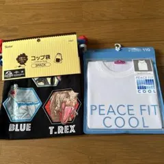 Item thumbnail for item 06d111db-3bf6-45d7-a48d-87c34954e0f7