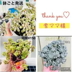 雪ママ様 リクエスト 3点 まとめ商品