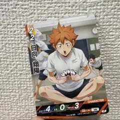 ハイキュー!! 日向翔陽 キャラクターカード　バボカ