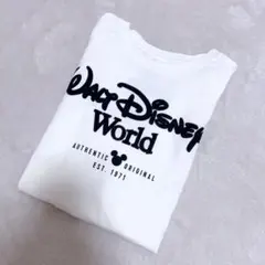 Walt Disney World スピリットシャツ 全サイズあり - メルカリ