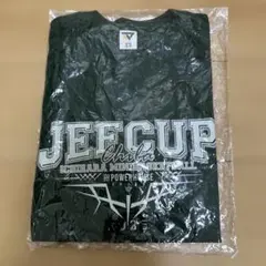 Item thumbnail for item 49c3f51c-f13c-40e8-b061-0bd78c4fc689