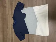 phenixメンズTシャツ Lサイズ