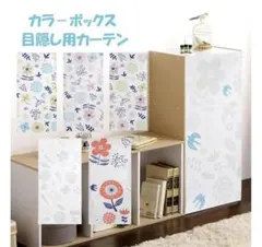 Item thumbnail for item 961e8a71-3e6d-4d3a-b201-f4c53315eab9