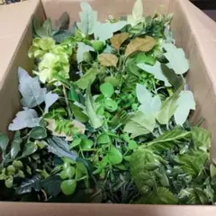 造花 グリーンミックス まとめ売り