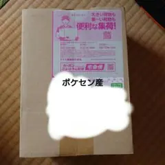 ポケモンカード　ポケセン産ブラックボルトデラックスシュリンク付き