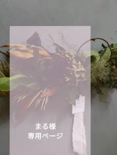 まる様専用ページ