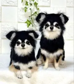 羊毛フェルト ハンドメイド 犬【チワワ】ぬいぐるみ リアル メモリアル