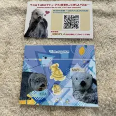 鳥羽水族館 ラッコ フォトカード キラちゃん メイちゃんのサムネイル
