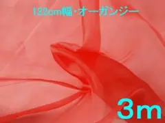 Item thumbnail for item 714c661a-83cd-469b-ab0c-78e3b5e71cb9