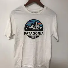 美品　パタゴニア　T メンズM相当サイズ