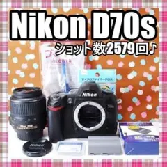 ❤️初心者向け❤️Nikon D70s ショット数4280回 操作性抜群 良品