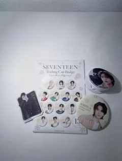 Item thumbnail for item 43455428-267f-4525-8324-d326900bca09