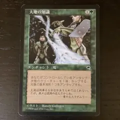 大地の知識/Earthcraft 日)大地の知識 / Earthcraft【TMP】 No.222｜MtG通販サイト