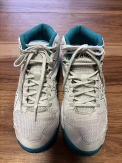 ASICS DUNKSHOT バスケットボールシューズ　22.5㎝