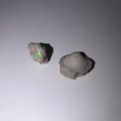 シェルオパール 貝オパール オパール化貝化石 オパライズドシェル