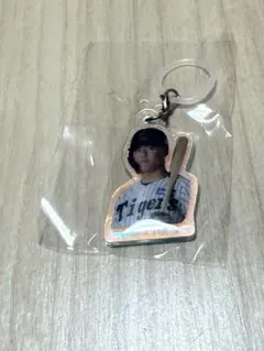 阪神タイガース　めじるしオーロラチャーム　前川