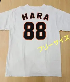 【訳あり】東京読売ジャイアンツ 2014 チャンピオン プロコレクション 原辰徳 訳あり】東京読売ジャイアンツ 2014 チャンピオン プロコレクション 原