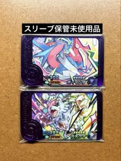 ポケモンフレンダ　未使用　メガボーマンダ　ガチグマ　スーパートレジャー　ST