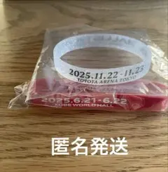 BALLISTIK BOYZ IMPACT ガチャ ラバーブレス2点