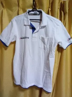 Item thumbnail for item 6acdf001-b9e0-456f-9a22-eae714dac0f7