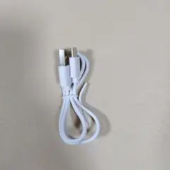 USB to USB Type-C 充電ケーブル ホワイト