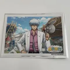 銀魂 銀八先生 花やしき 思い出ラリー 坂田銀八