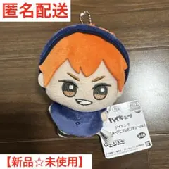 【新品☆未使用】ハイキュー！！ちびぐるみ〜アニマルポンチョ vol.1 日向翔陽