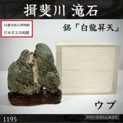鶴仙園 三州 みやび鉢 ONIBATH KAKUSENEN OK-01 - メルカリ