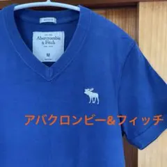 アバクロンビー&フィッチ　tシャツ Vネック　ハワイ購入　M