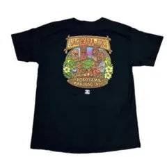 Item thumbnail for item 417ab480-4f50-49b2-95a2-9c72d5c757c0