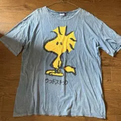 ZARA 2ムラ染めPEANUTS ウッドストック ピクセルアート Tシャツのサムネイル