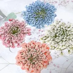 Cui_Cui販売終了様 リクエスト 3点 まとめ商品