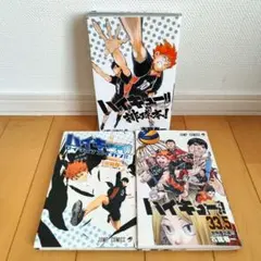 【最終値下げ】ハイキュー!! ガイドブック アニメガイド 映画特典 古舘春一