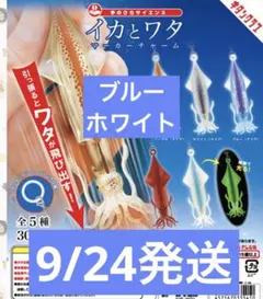 手のひらサイエンス イカとワタ マーカーチャーム めじるしガチャ 2種セット