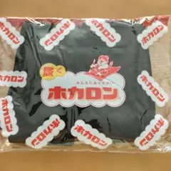 履くホカロン L-LL 160デニール 黒タイツ 2足組