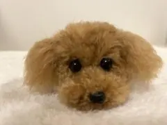 トイプードル編みぐるみ（植毛）犬 【伏せポーズ】レッド - メルカリ