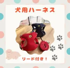 Item thumbnail for item e0547cda-d31a-4918-90e5-3caae5f668d8