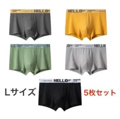 ボクサーパンツ メンズ ブリーフ 下着 アンダーウェア 速乾 5枚セット