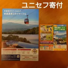 【当日発送】赤倉観光リゾートスキー場　1day 2枚セット 当日発送】赤倉観光リゾートスキー場 1day 2枚セット 赤倉観光