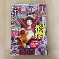 ONE PIECE magazine 20号【新品未開封付録付き】プロモ付録